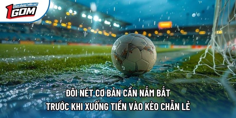 Đôi nét cơ bản cần nắm bắt trước khi xuống tiền vào kèo chẵn lẻ