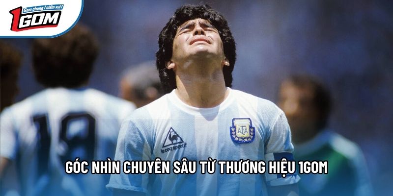 Góc nhìn chuyên sâu từ thương hiệu 1gom