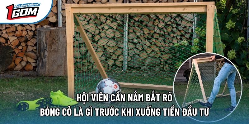 Hội viên cần nắm bắt rõ bóng cỏ là gì trước khi xuống tiền đầu tư