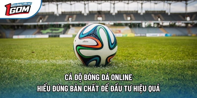 Cá Độ Bóng Đá Online – Hiểu Đúng Bản Chất Để Đầu Tư Hiệu Quả