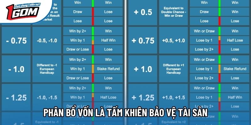 Phân bổ vốn là tấm khiên bảo vệ tài sản